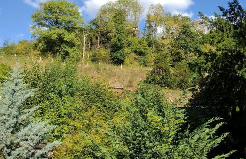 Auszeit im Eibenhaus - Foto 2