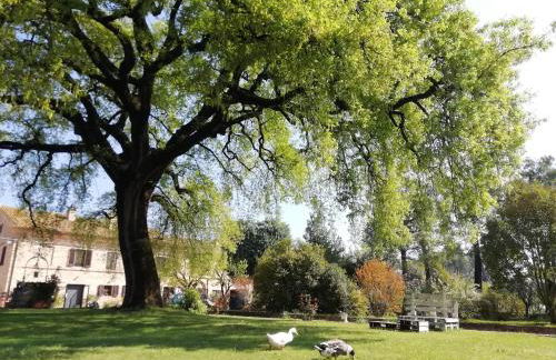 Tenuta del Viandante - Foto 58