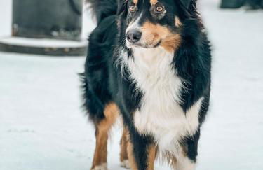 Fewo Eickhorst - Foto 37