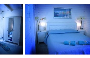 Timone d’oro - Foto 10