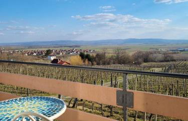 Kuća za odmor Baron - Foto 47