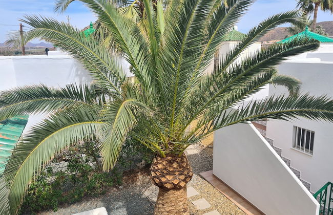 Les Cactus Remarkable 7 bed Villa - Private Pool - Photo 30