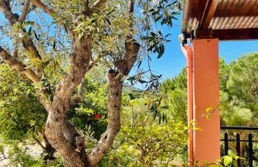 Villa Apelati - Foto 27