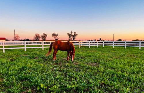 Marchanta Riverside Hotel - Foto 9