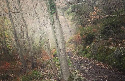 Gata Maitea- Apartamento Aita- Sierra Gata - Foto 23