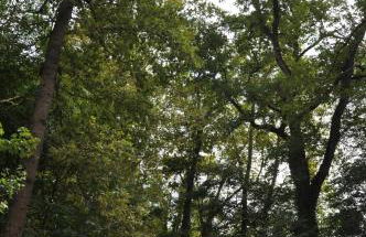 Apartamento "El Lilà" - Parking incluido - Foto 56