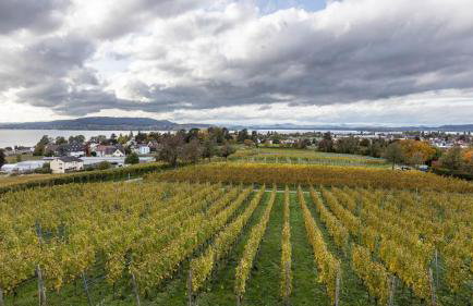 Die Ferienwohnung - Photo 27