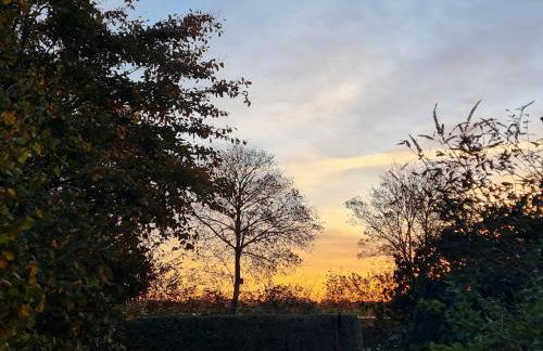 Giese FeWo Küstenglück - Foto 31