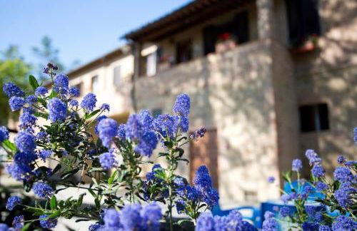 Agriturismo San Galgano - Foto 41
