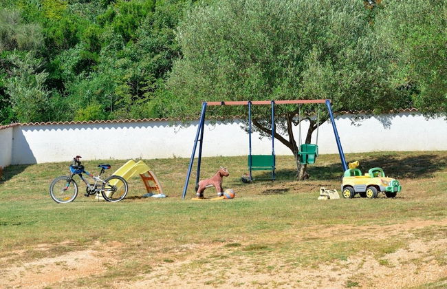 Iva - Great Garden - H - Photo 14