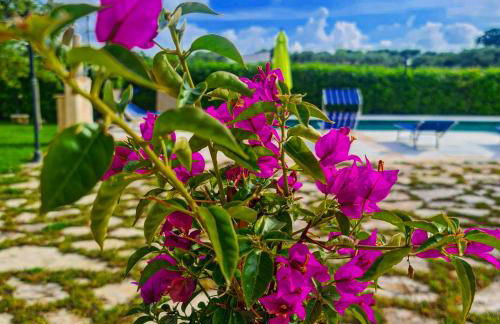 Trulli Pax Animi - Foto 50