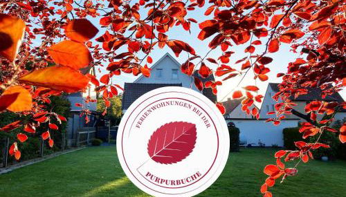 Ferienwohnungen bei der Purpurbuche - Foto 4