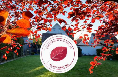 Ferienwohnungen bei der Purpurbuche - Foto 4