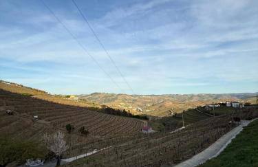 Quinta Da Batoca - Foto 9