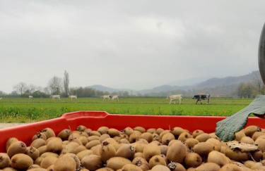 Agriturismo Fior Di Campo - Foto 21