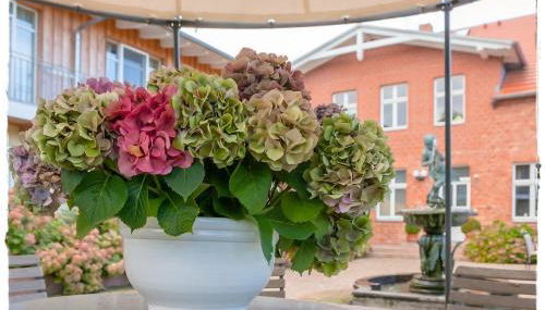 Herman's Hof - Foto 3, Garden