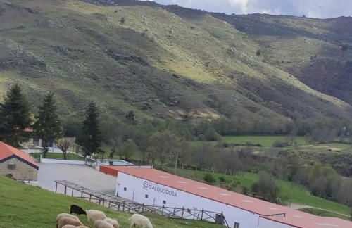 Quinta da Alqueidosa - Casa de Campo - Foto 40