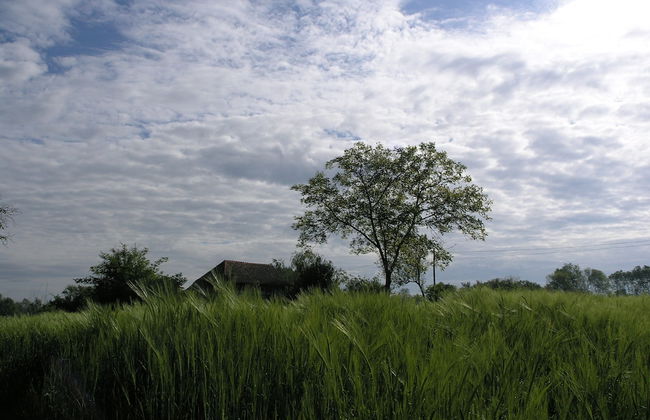 Ethno Village Stara Lonja - Foto 19