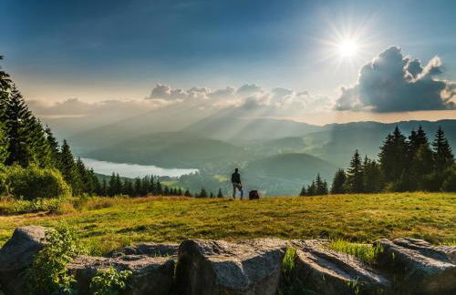 Black Forest Luxury Apartment Bärenhöhle mit Sauna - Foto 37