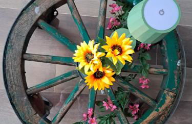 I Vigneti del Chianti - Foto 15