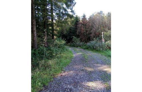 Weide Comfortable holiday residence - Foto 34