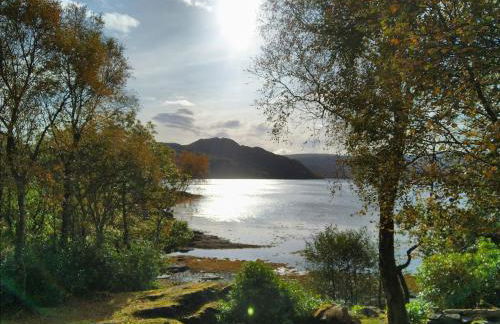 Birch and Oak Lodges - Photo 7