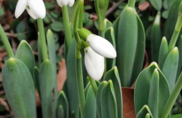 Geräumige 2-Z WOHNUNG im GRÜNEN, GARTEN, TERRASSE, RUHIG, NATUR, PHANTASTISCHER BLICK! - Foto 70