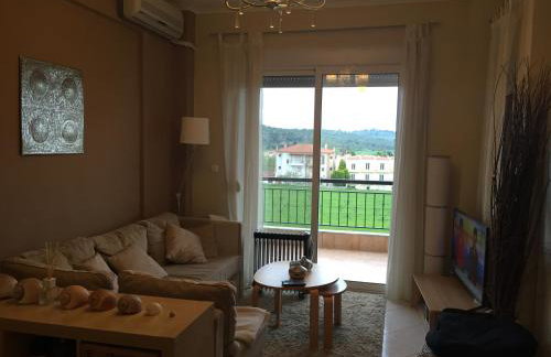 POSSIDI - Ithaki Holiday Apartments - Foto 39