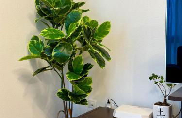 El Pasaje Apartamento - Foto 21