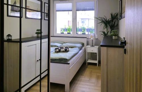 81 degrees - Hot Lodging - Gorąca Kwatera w centrum Gliwic z prywatną sauną - Foto 29