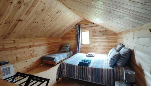 Au chant des oiseaux - rouge gorge - Foto 5