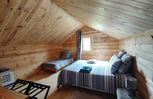 Au chant des oiseaux - rouge gorge - Foto 5