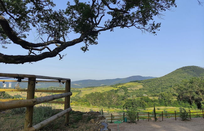 New Tuscan Villa With Pool - Foto 44