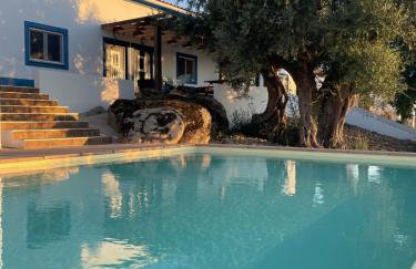 Almojanda 3 Olive Tree - Foto 18