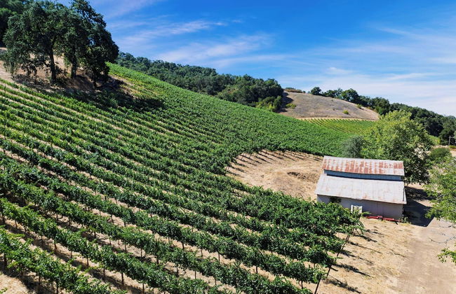 Luxury Wine Country Haven + Vineyard Views Near Top Wineries Adelaida Farmhouse - Foto 47