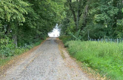 Dom pod Aniołem - Foto 15