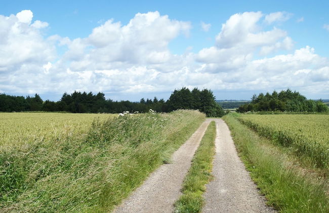 Manor Farm B & B - Foto 46