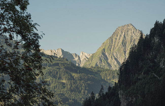 Resort Schrofenblick - Foto 77