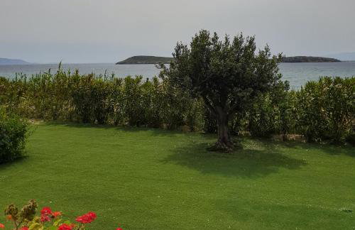 Kleanthi Apartments - Photo 58