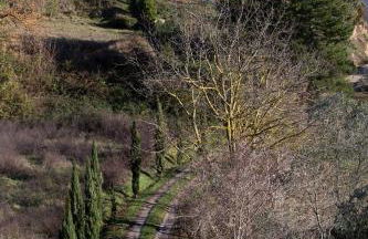 Il Mandorlo - Foto 14