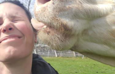 Biohof Dimper - HühnerNest - Foto 13