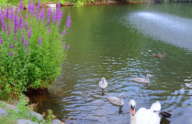 Gemutliche Tierfreundliche Wohnung in Huddingen - Foto 25