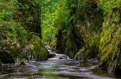 Bwythyn Ebrill, April Cottage - Foto 11