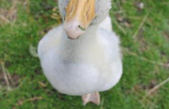 Schlossberghof - Foto 31