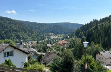 Ferienwohnung Panoramablick - super für deine Familie und die besten Aussicht in ganz Todtmoos - Foto 38