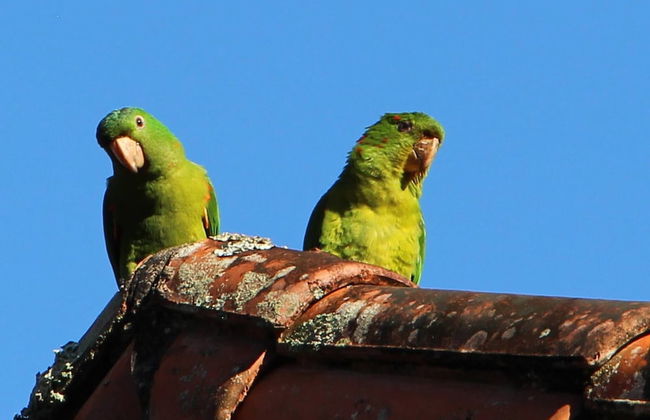Paradisiacal Site in National Park - Foto 21