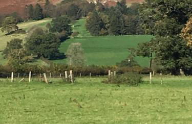 Cae'r Beili - Photo 38