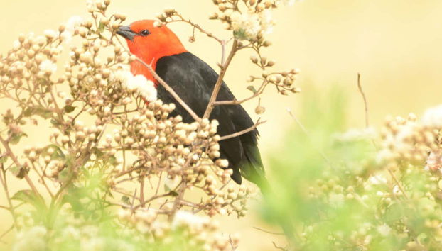 Day trip to Arroyos y Esteros