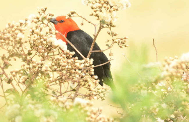 Arroyos y Esteros Private Day Trip - Foto 2