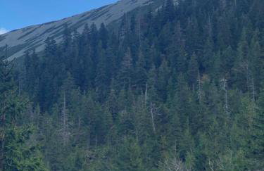 Bryziówka - Foto 45